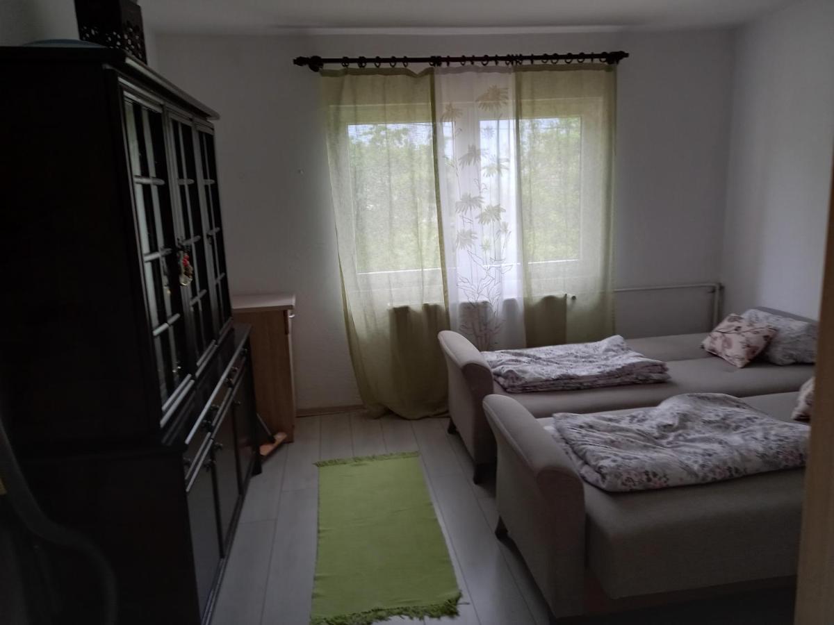 Apartman Venera Apartment Sarajevo Bagian luar foto